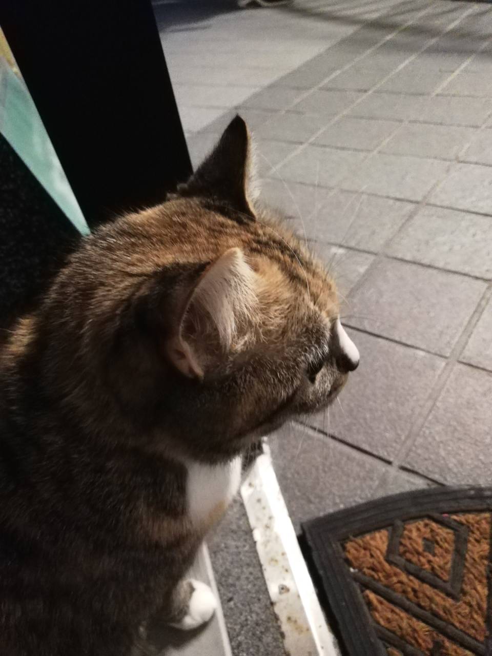 「言葉」のいらない世界　「魂」で繋がる…